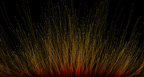 Maia Edge Fiber Operators